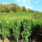 2008F 042 Ahr-Rhein-PB